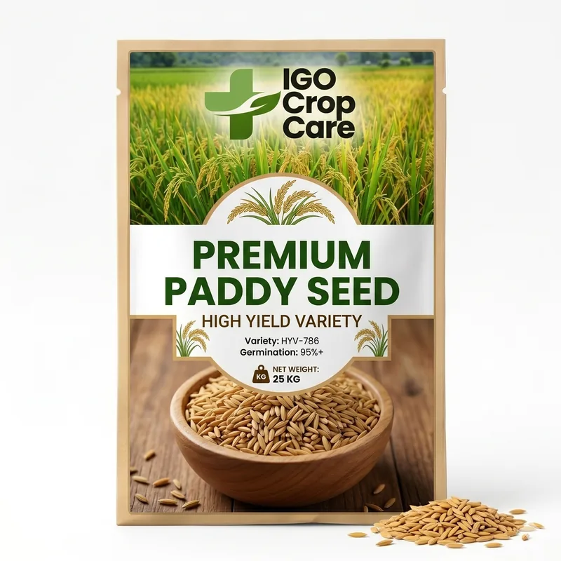 Chemica Paddy Seeds (Hybrid Short Duration)
